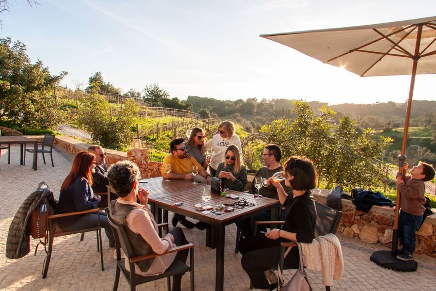 Porches: Algarve Vineyard Tour and Wine Tasting Experience - A small vineyard with a personal welcome