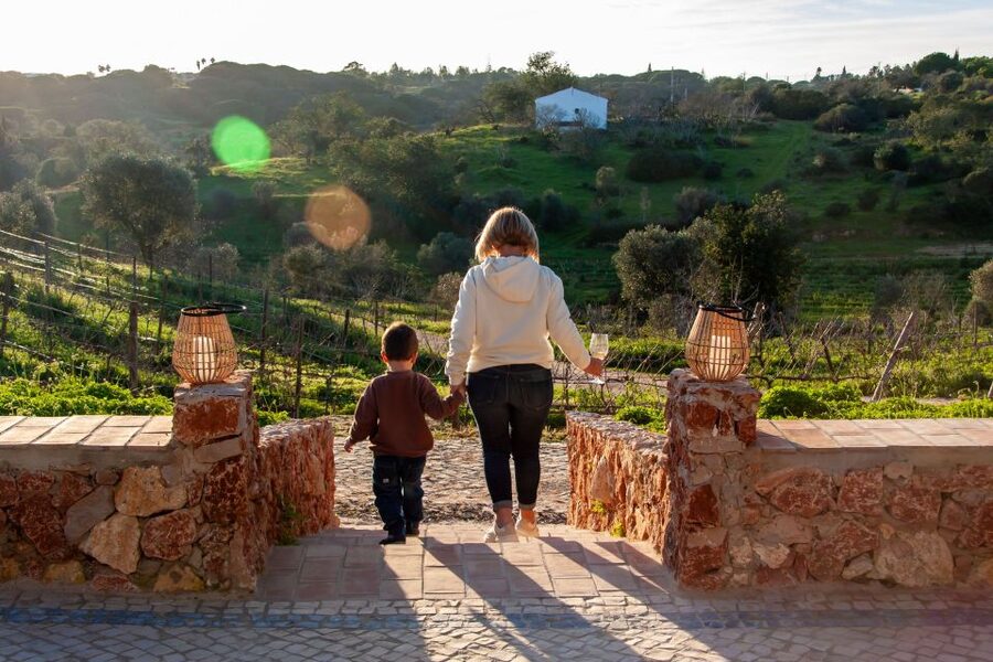 Porches: Algarve Vineyard Tour and Wine Tasting Experience - Why the setting matters