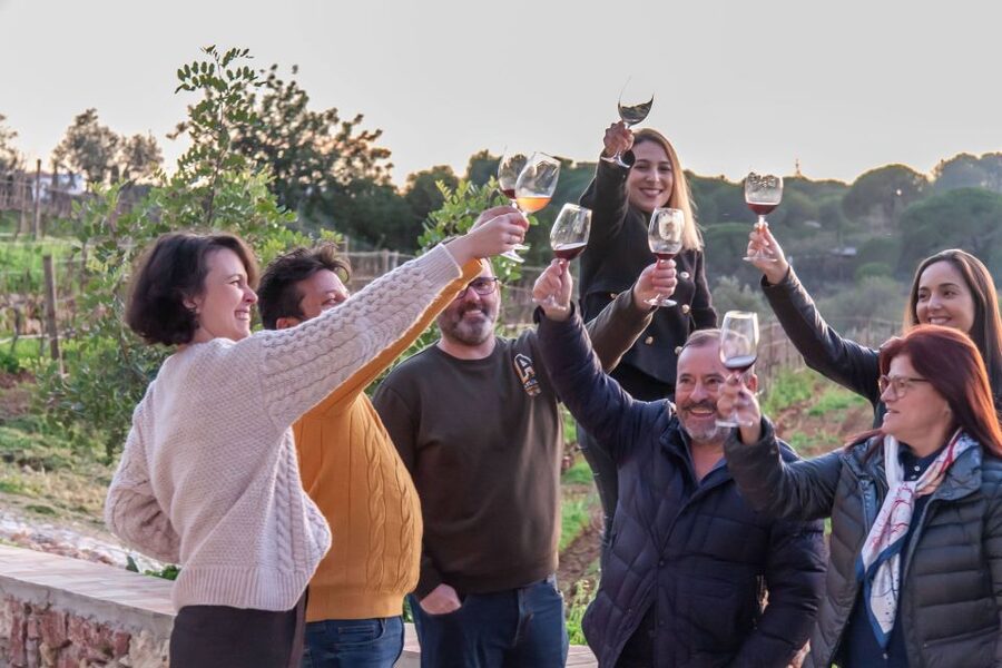 Porches: Algarve Vineyard Tour and Wine Tasting Experience - How this compares with a formal winery tour