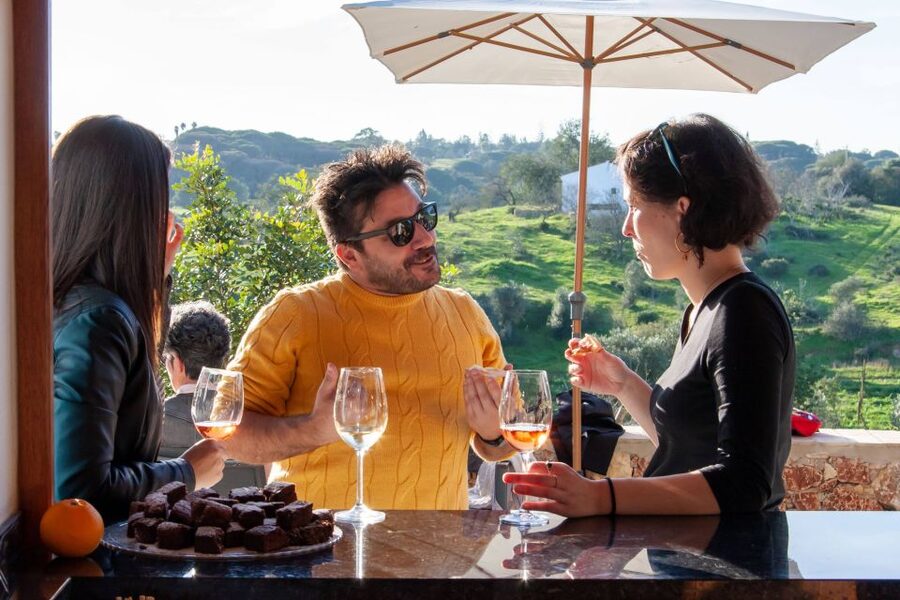 Porches: Algarve Vineyard Tour and Wine Tasting Experience - Price, timing, and practical value