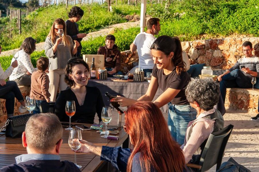 Porches: Algarve Vineyard Tour and Wine Tasting Experience - Who will enjoy Quinta dos Capinhas most