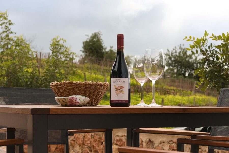 Porches: Algarve Vineyard Tour and Wine Tasting Experience - Should you book this vineyard experience?