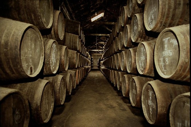 Port Wine Lodges Tour Including 7 Port Wine Tastings (English) - Starting at the D. Luis Bridge and crossing into Gaia