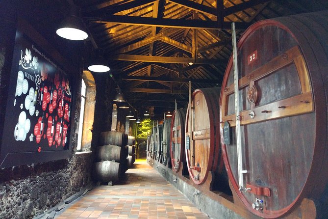Port Wine Lodges Tour Including 7 Port Wine Tastings (English) - Who will enjoy this Port walking tour?