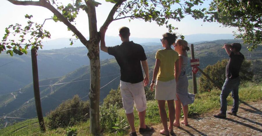 Porto: 3 Douro Valley Vineyards Tour with Lunch - Key points to know before booking