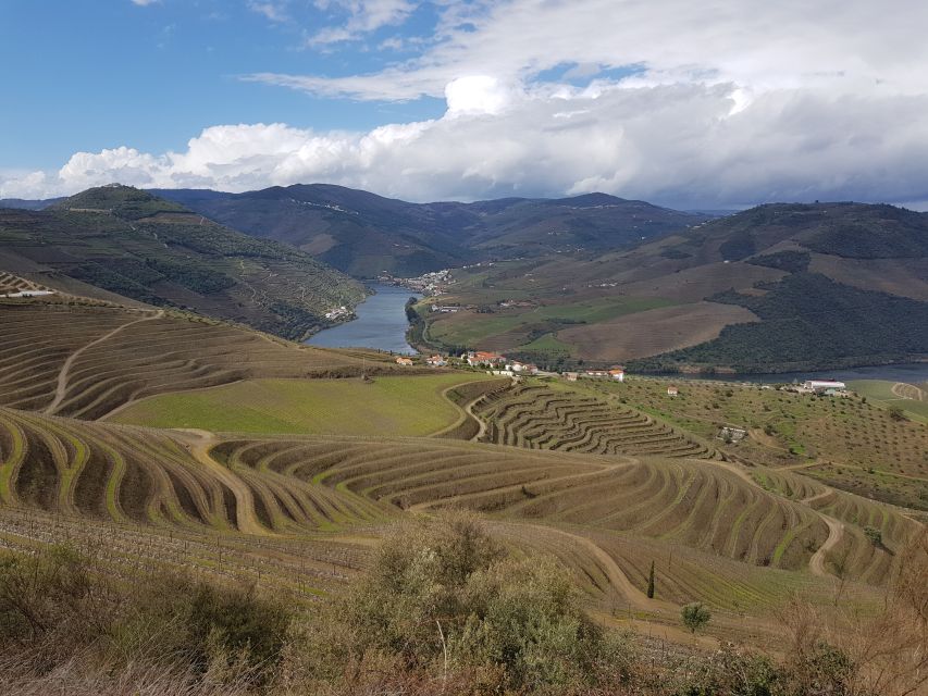 Porto: 3 Douro Valley Vineyards Tour with Lunch - Who should book this Douro Valley tour?