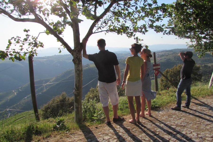Porto: 3 Douro Valley Vineyards Tour with Lunch - Why this day trip works well from Porto