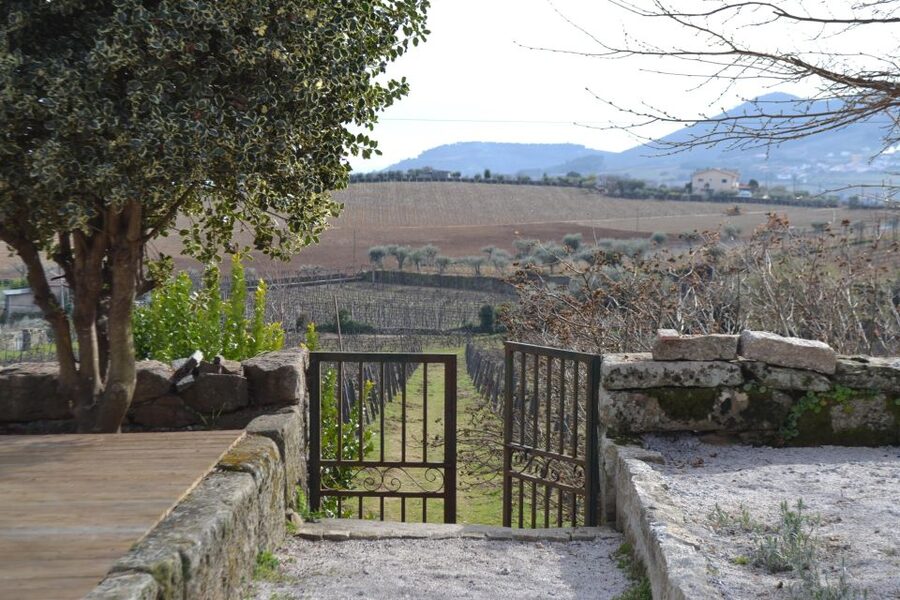 Porto: 3 Douro Valley Vineyards Tour with Lunch - What the $129 price really buys