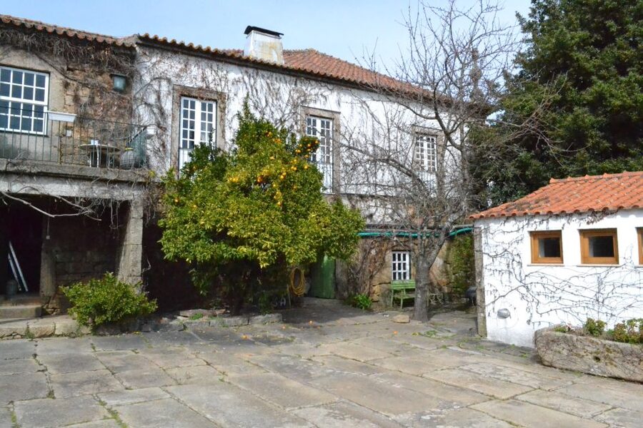 Porto: 3 Douro Valley Vineyards Tour with Lunch - The morning road to Sabrosa