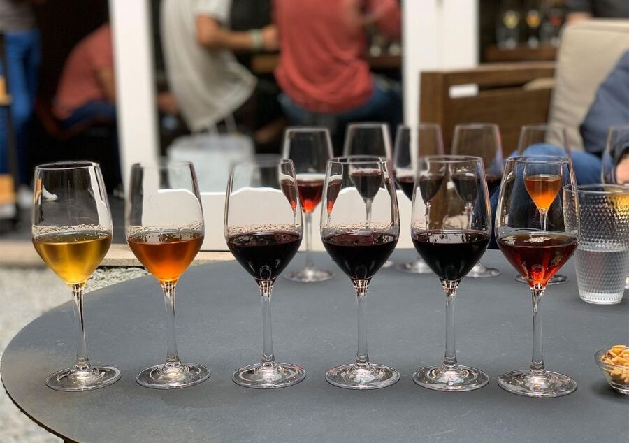 Porto: 3 or 5 Port Wine Tasting with Pairings - Pairings that make the wine easier to understand