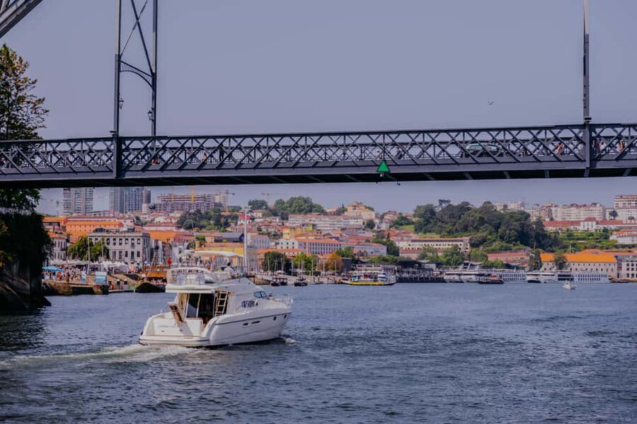 Porto: 6 Bridges Private Cruise with Local Wine and Snacks - Porto and Gaia from the water