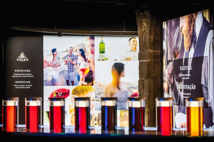 Porto: Cálem Cellar Tour, Fado Show & Wine Tasting - The two-port tasting