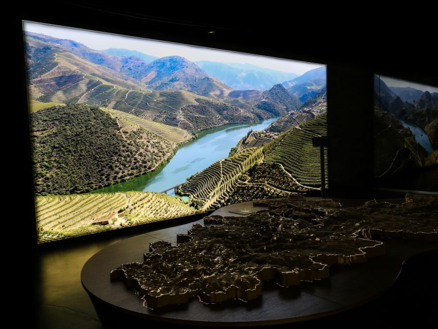 Porto: Cálem Cellar Tour, Interactive Museum & Wine Tasting - The Port tasting: white first, tawny next