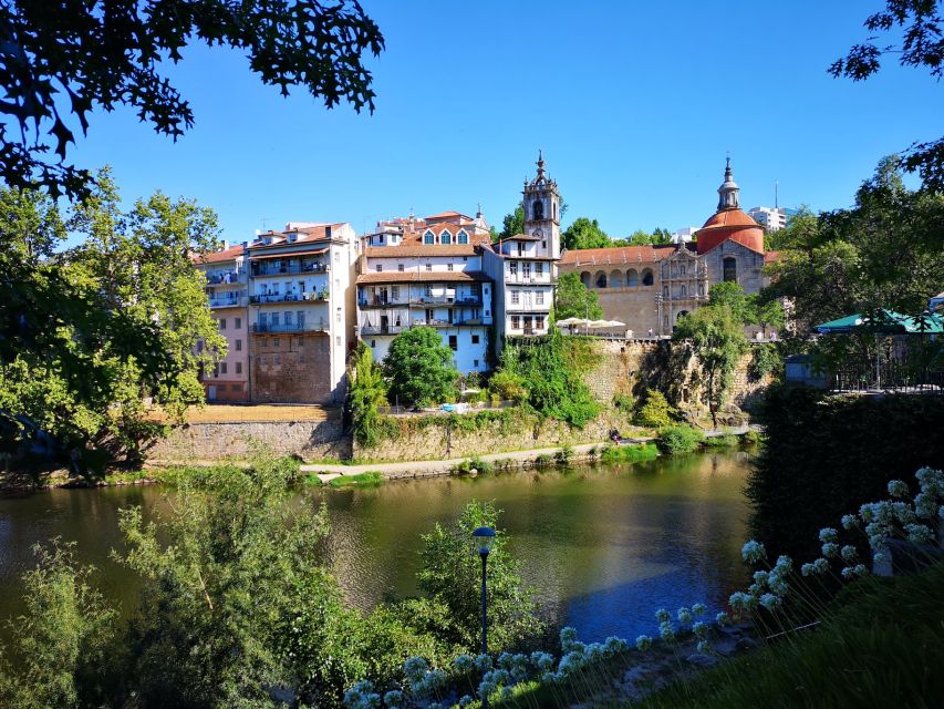 Porto: Douro Valley History & Wine Tour with Cruise & Lunch - Who should book this tour?