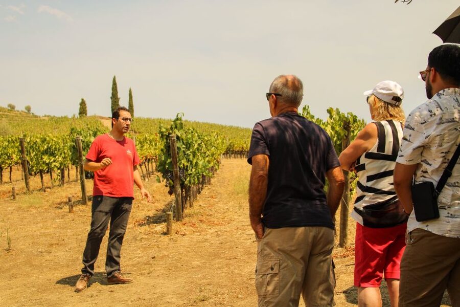 Porto: Douro Valley History & Wine Tour with Cruise & Lunch - Why this Douro day works so well