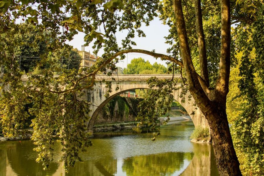 Porto: Douro Valley History & Wine Tour with Cruise & Lunch - A three-course Douro lunch with local wine