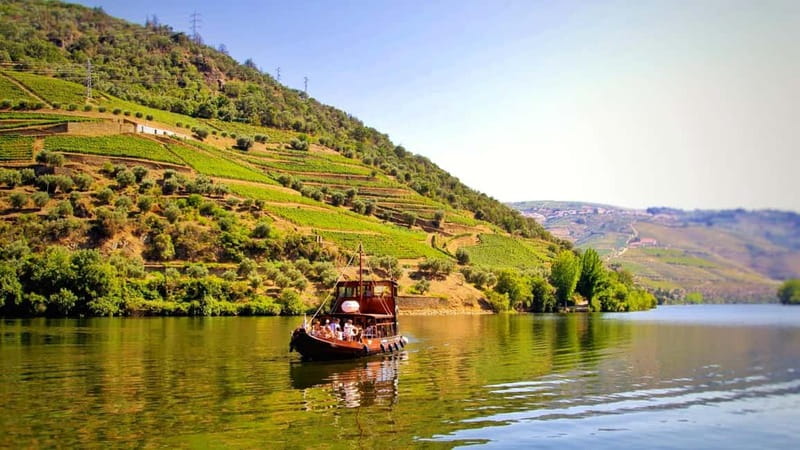 Porto: Douro Valley Tour at 2 Wineries with Lunch and Cruise - Key things to know before you book