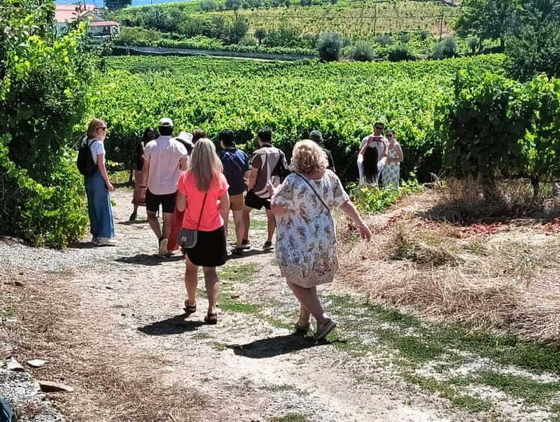 Porto: Douro Valley Tour at 2 Wineries with Lunch and Cruise - Why this Douro Valley day trip works
