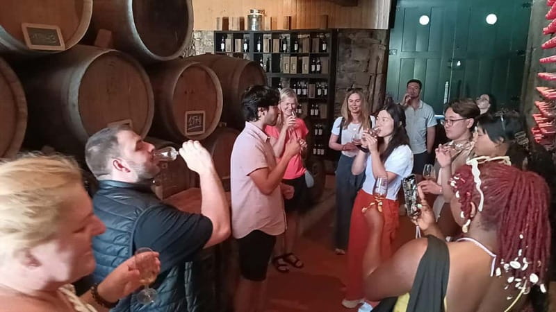 Porto: Douro Valley Tour at 2 Wineries with Lunch and Cruise - Lunch among the vines in Sabrosa