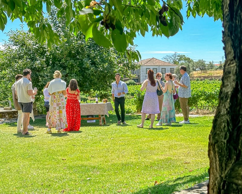 Porto: Douro Valley Tour with 2 Wineries, Lunch and Cruise - Key points at a glance