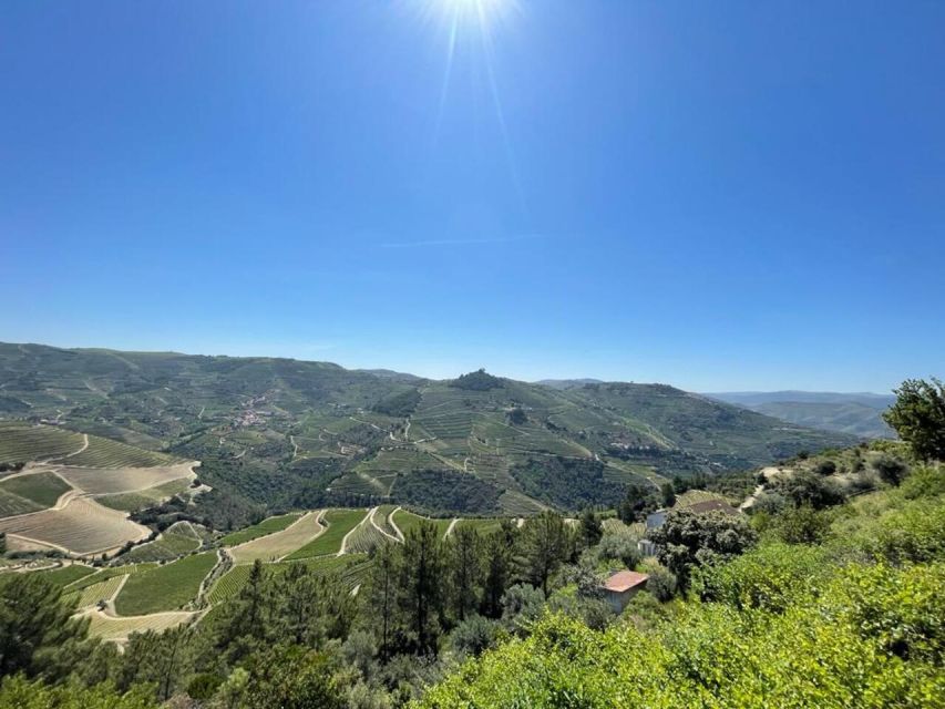 Porto: Douro Valley Tour with 2 Wineries, Lunch and Cruise - The N222 and the first Douro views