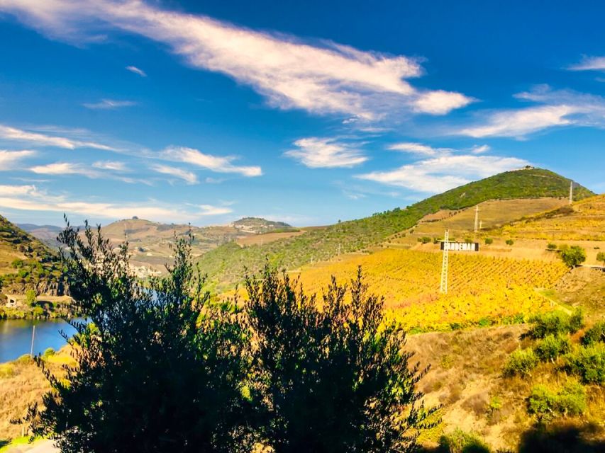 Porto: Douro Valley Tour with 2 Wineries, Lunch and Cruise - Miradouro São Cristóvão and the photo stops