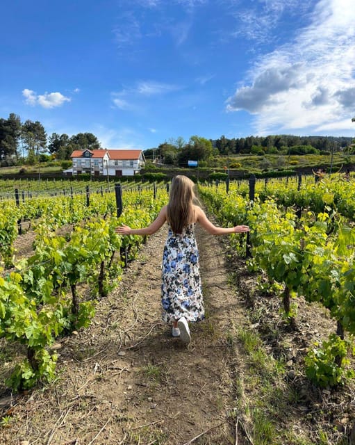 Porto: Douro Valley Tour with 2 Wineries, Lunch and Cruise - The first winery and the story of Port