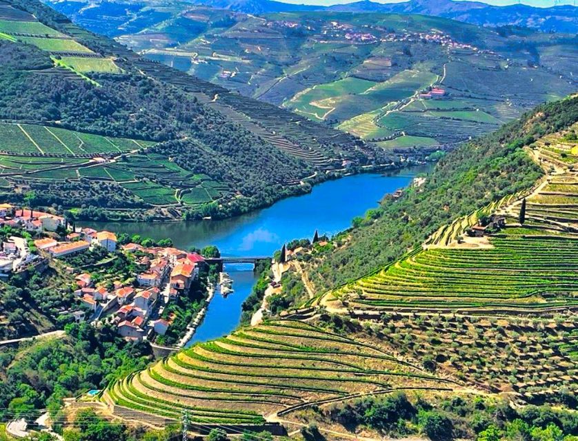 Porto: Douro Valley Tour with 2 Wineries, Lunch and Cruise - The second winery and a more local feel