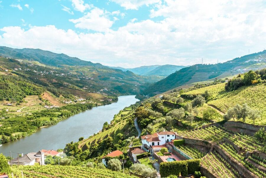 Porto: Douro Valley Tour with Wine Tasting, Cruise and Lunch - Why this Douro Valley day trip works
