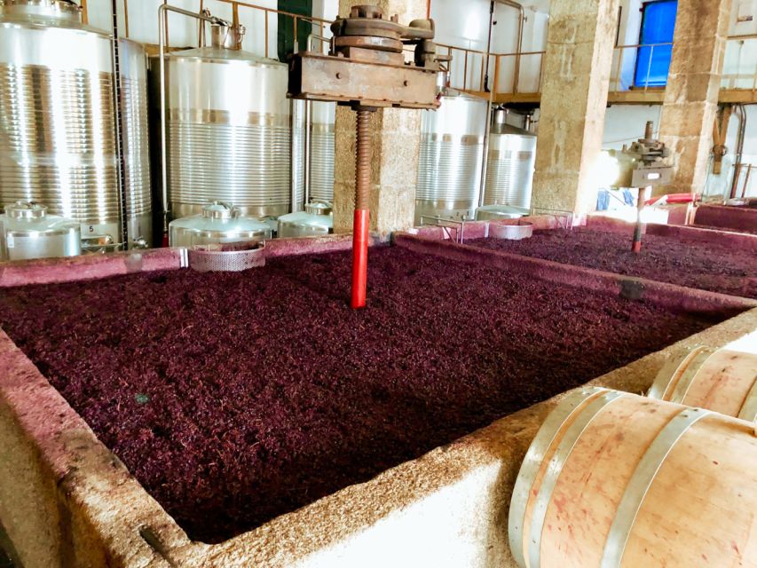 Porto: Douro Valley Tour with Wine Tasting, Cruise and Lunch - Lunch with Portuguese flavors