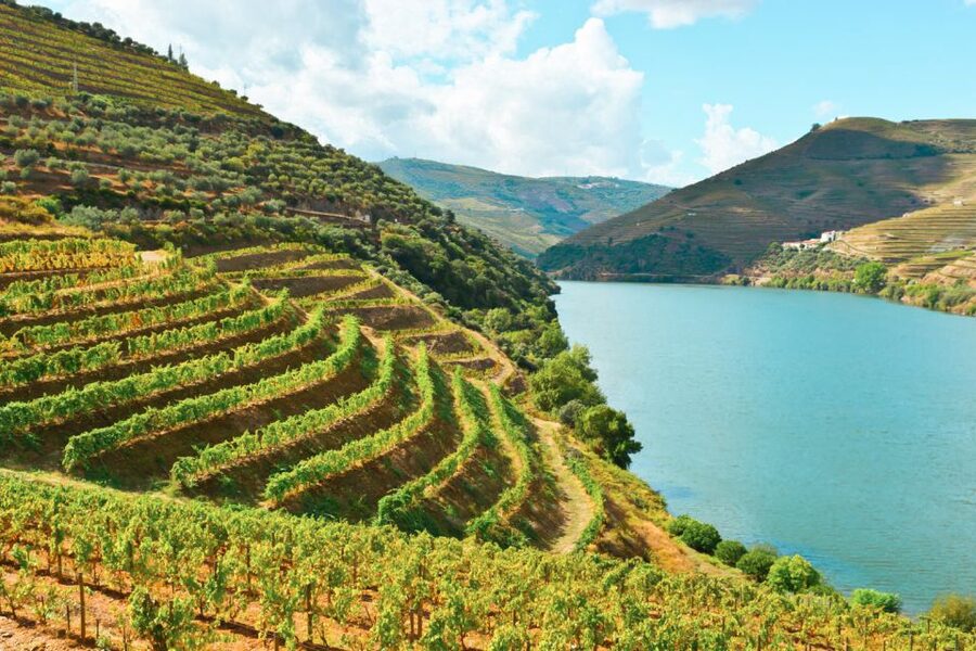 Porto: Douro Valley Tour with Wine Tasting, Cruise and Lunch - The second tasting adds another point of view