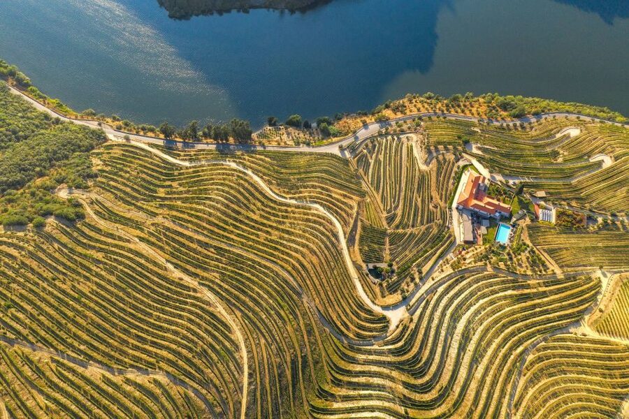 Porto: Douro Valley Tour with Wine Tasting, Cruise and Lunch - What the guides add to the day