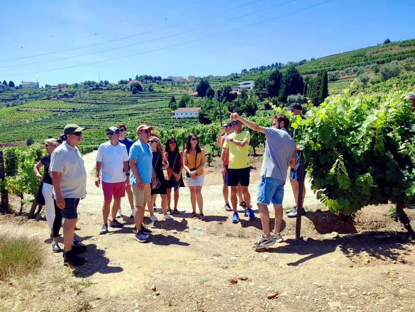 Porto: Douro Valley Vineyards Tour with Lunch & River Cruise - Key points to know before booking