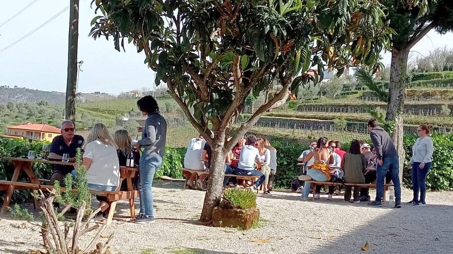 Porto: Douro Valley Vineyards Tour with Lunch & River Cruise - Who will enjoy this tour most