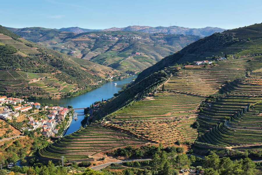 Porto: Douro Valley Wine Tour with a Sommelier & Boat Trip - Key points at a glance