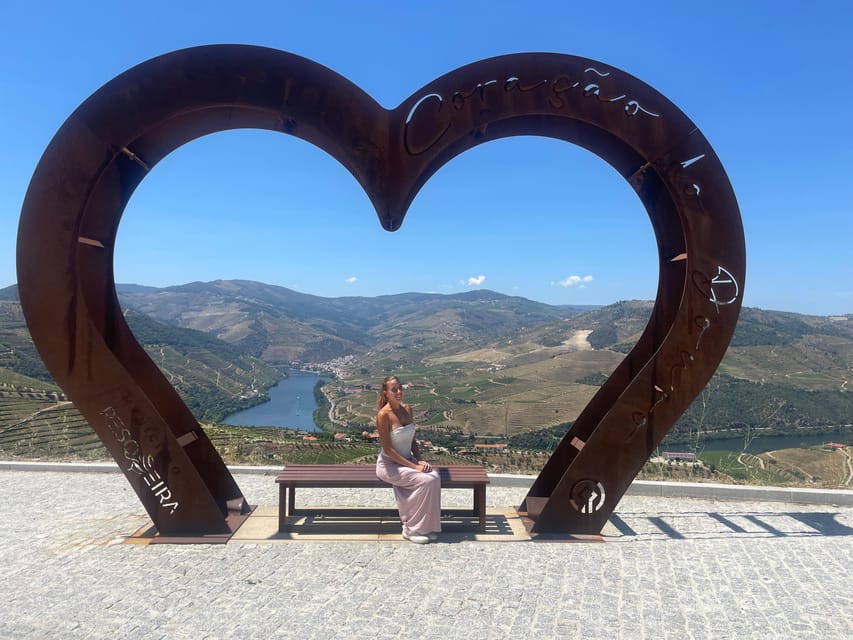 Porto: Douro Valley Wine Tour with a Sommelier & Boat Trip - The N222 drive into the Douro Valley