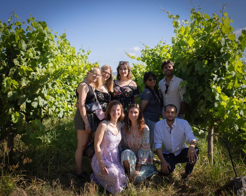 Porto: Douro Valley Wine Tour with a Sommelier & Boat Trip - The second winery and the Port cellar