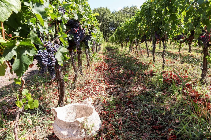 Porto: Douro Valley Wine Tour with a Sommelier & Boat Trip - Timing, comfort, and value at $127