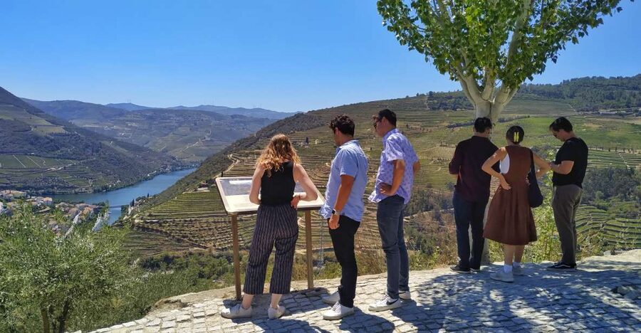Porto: Douro Valley Wine Tour with Tastings, Boat, and Lunch - What the small group changes