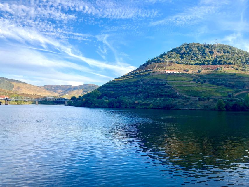 Porto: Douro Valley Wine Tour with Tastings, Boat, and Lunch - Who should book this experience?