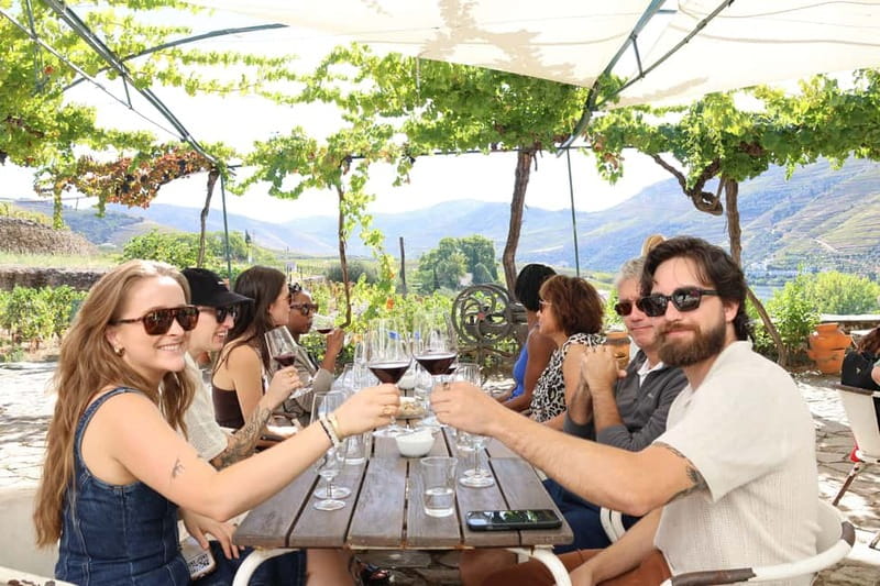 Porto: Douro Valley Wine Tour with Tastings, Lunch & Cruise - Key Points Before You Book