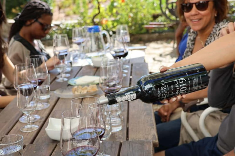 Porto: Douro Valley Wine Tour with Tastings, Lunch & Cruise - The First Winery: A Personal Start to the Tastings