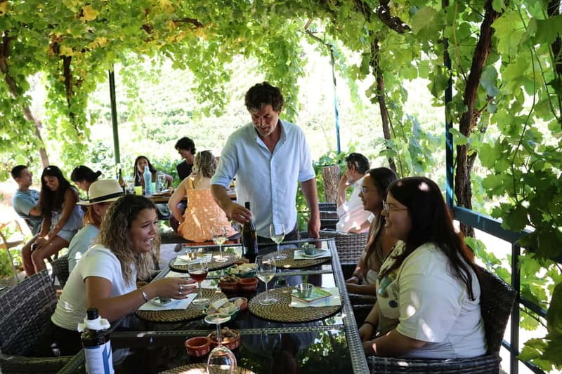 Porto: Douro Valley Wine Tour with Tastings, Lunch & Cruise - Pinhão and the Douro River by Boat
