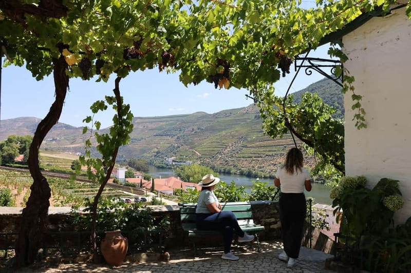 Porto: Douro Valley Wine Tour with Tastings, Lunch & Cruise - The N222 Scenic Drive