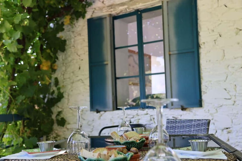 Porto: Douro Valley Wine Tour with Tastings, Lunch & Cruise - Cellars, Vineyards, and the Story Behind the Wine