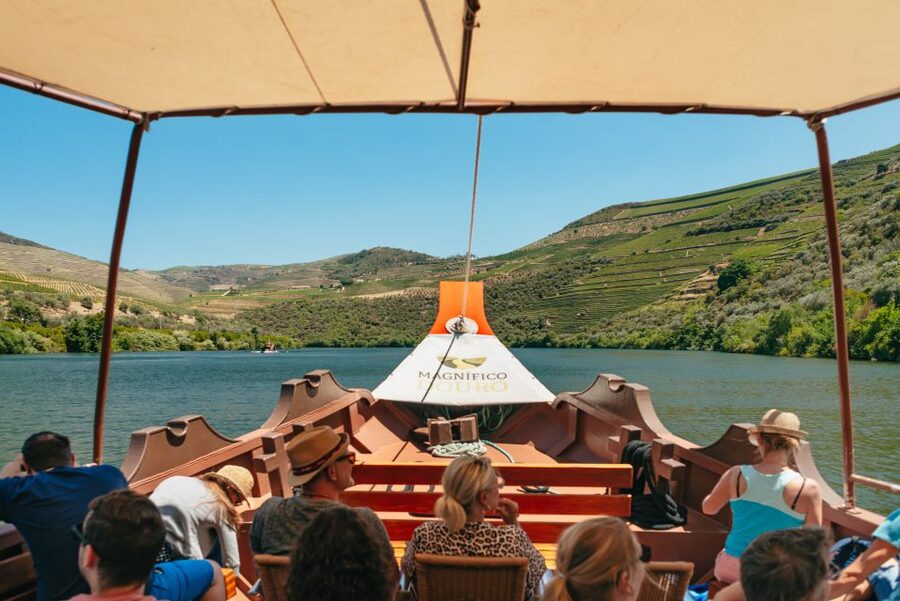 Porto: Douro Valley with Winery Lunch, Tastings & Cruise - Booking details and final value