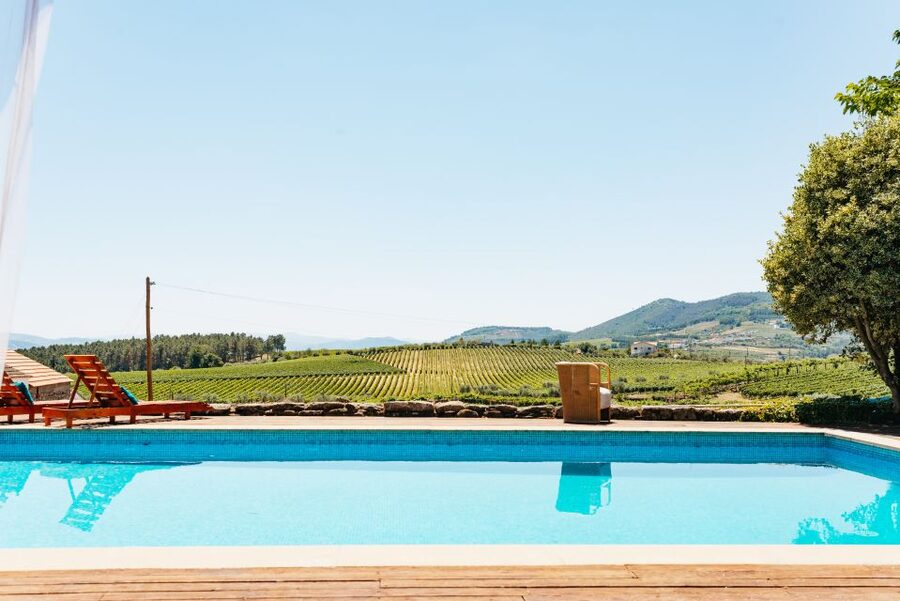 Porto: Douro Valley with Winery Lunch, Tastings & Cruise - One hour on the Douro River