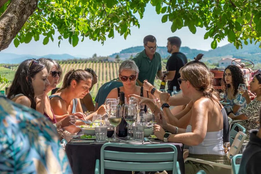 Porto: Douro Valley with Winery Lunch, Tastings & Cruise - The second estate and a broader wine comparison