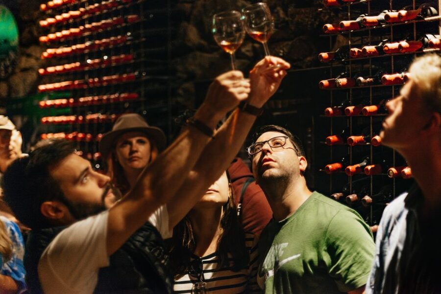 Porto: Douro Valley with Winery Lunch, Tastings & Cruise - The guide and group size make a real difference