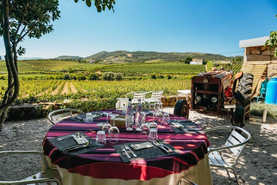 Porto: Douro Valley with Winery Lunch, Tastings & Cruise - Who should book this Douro Valley trip